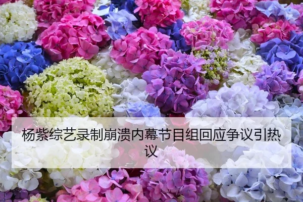 杨紫综艺录制崩溃内幕节目组回应争议引热议