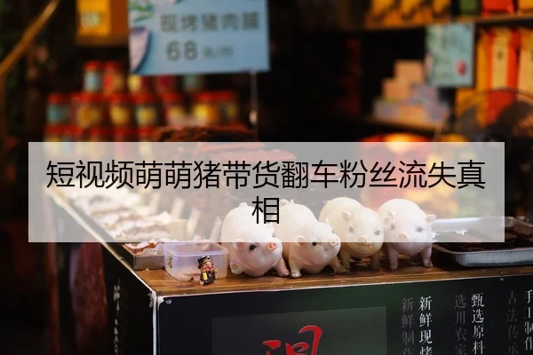 短视频萌萌猪带货翻车粉丝流失真相